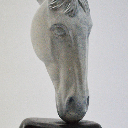 Palomo (Bronze) by Deborah Harrison