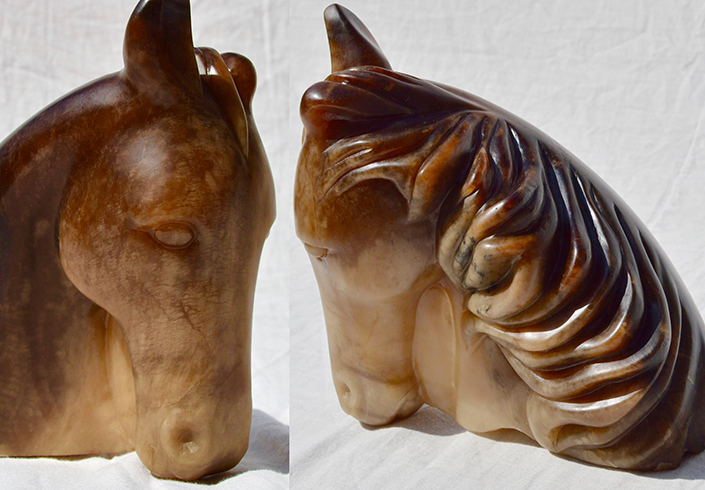 Horse's Head by Debs Harrison