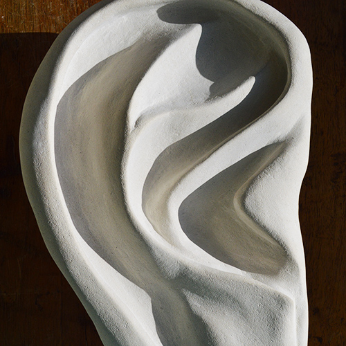 Ear by Debs Harrison