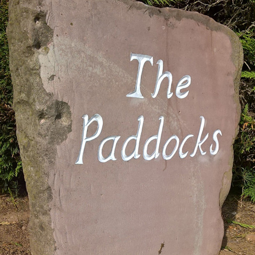 The Paddocks by Debs Harrison